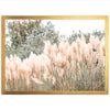 Coastal Grass - Shutter and Frame