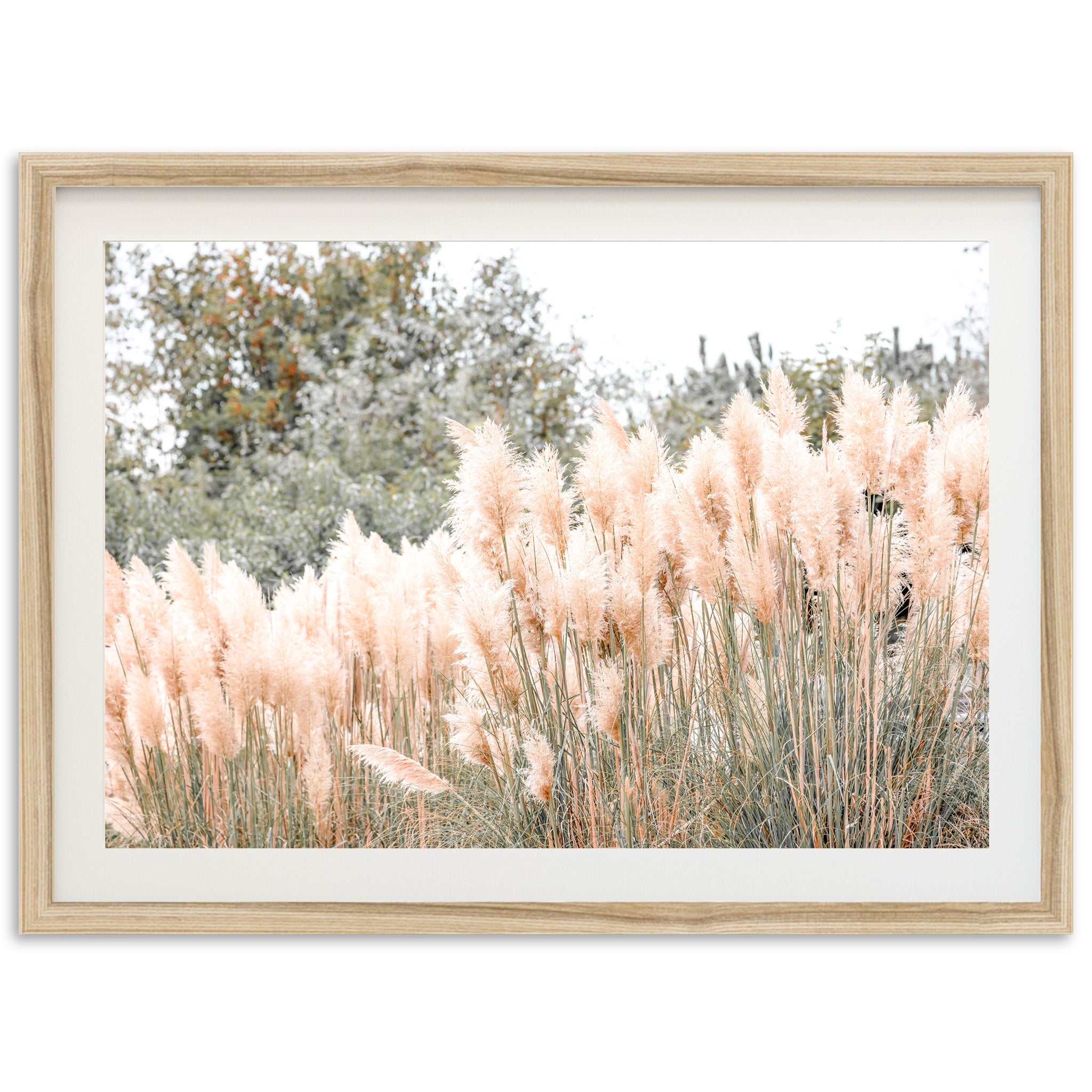 Coastal Grass - Shutter and Frame