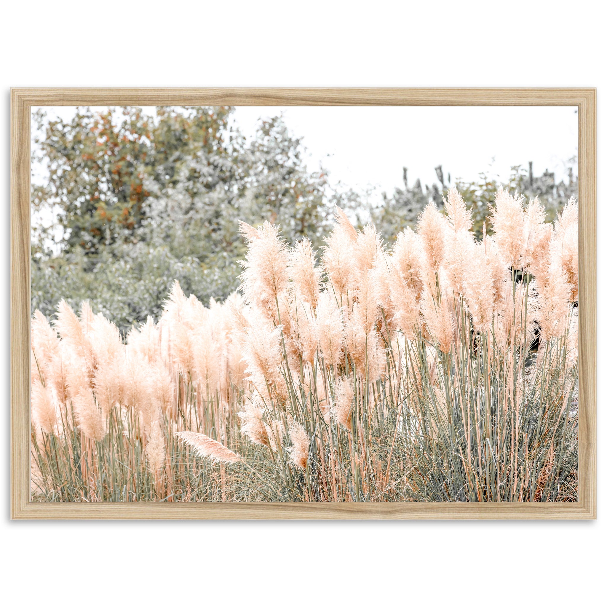 Coastal Grass - Shutter and Frame