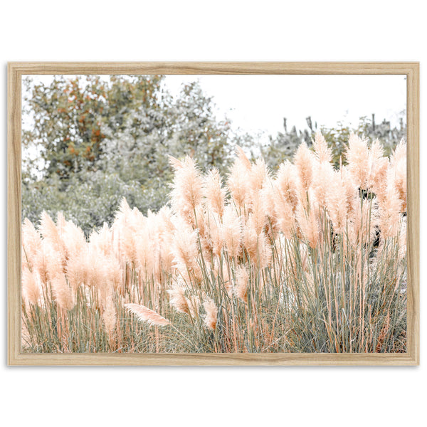 Coastal Grass - Shutter and Frame