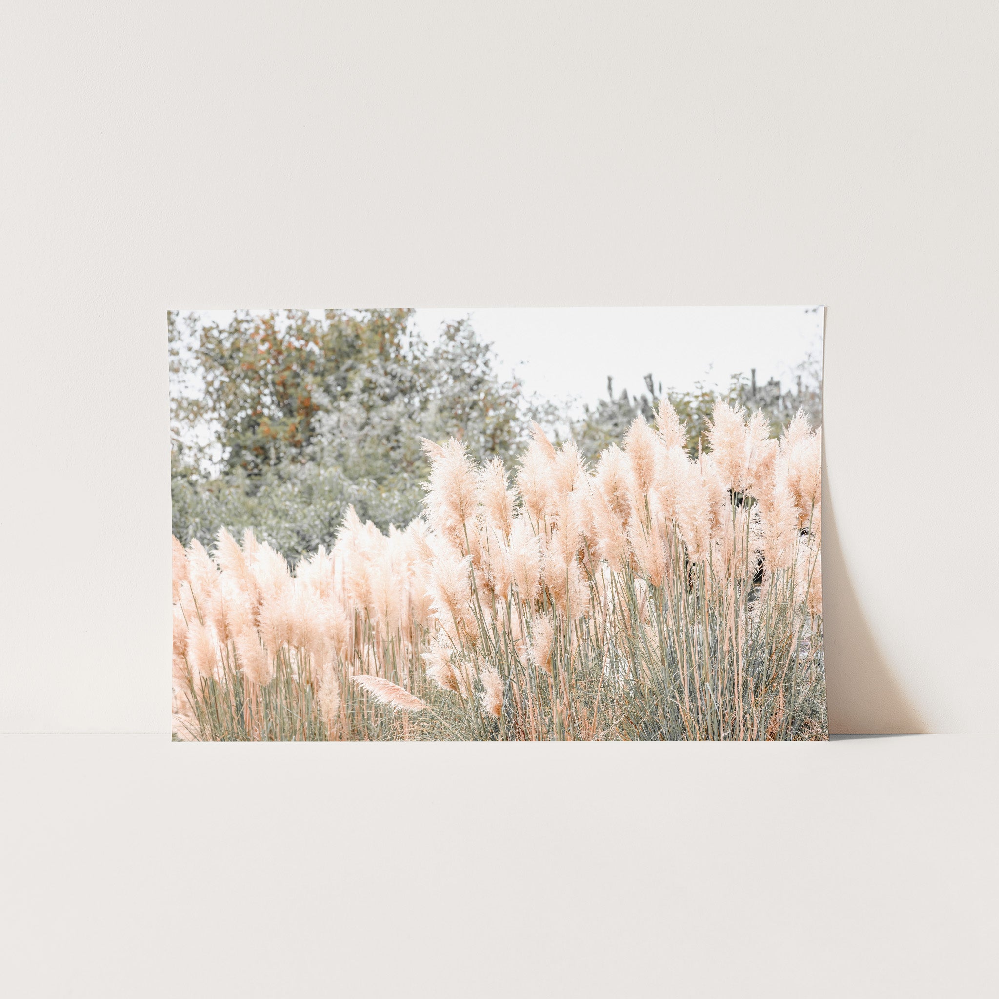 Coastal Grass - Shutter and Frame