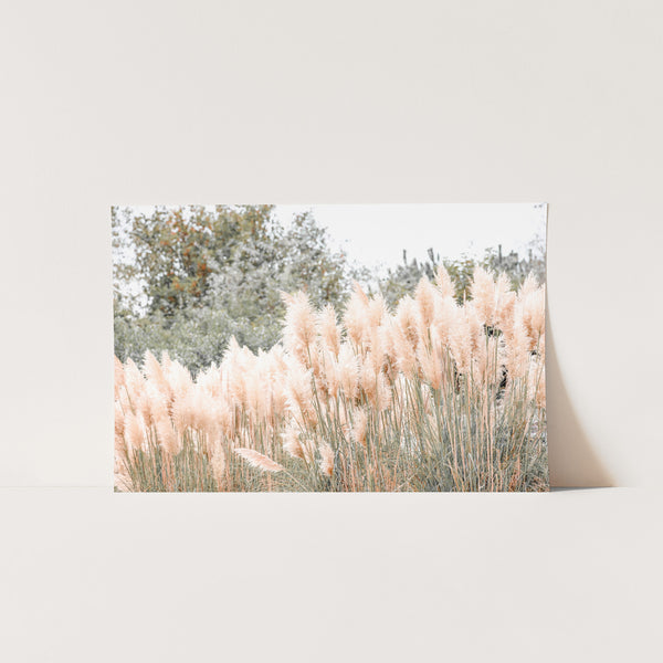 Coastal Grass - Shutter and Frame