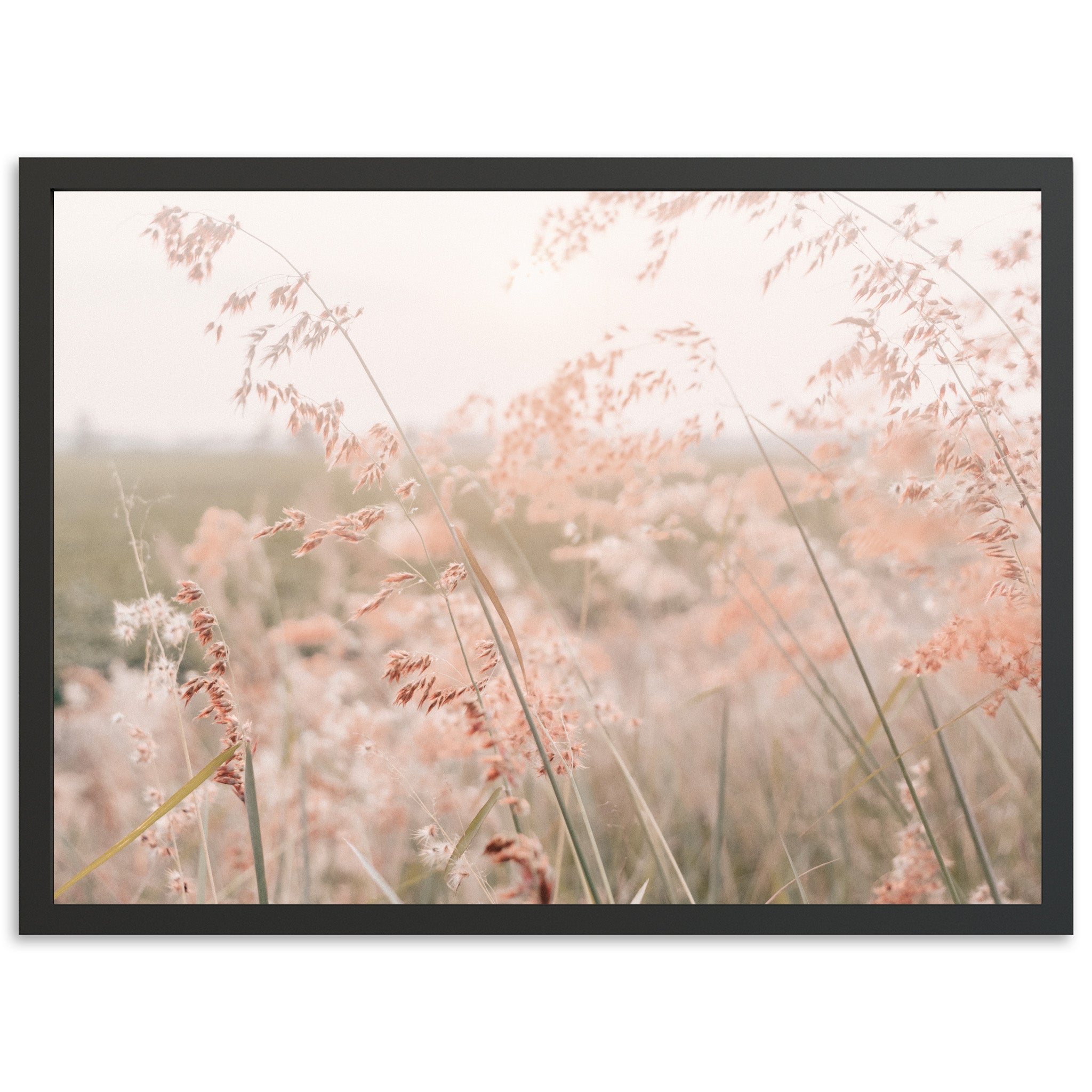 Autumn Grass - Shutter and Frame