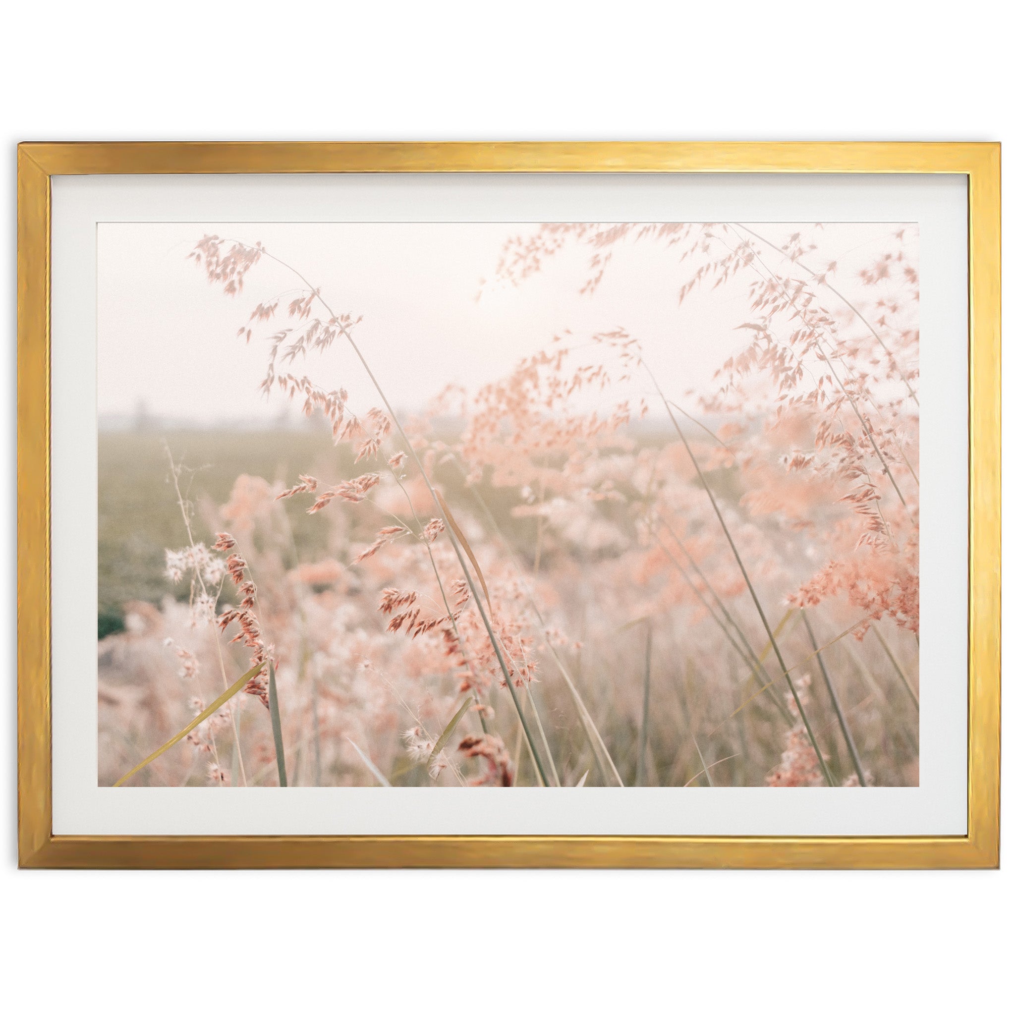 Autumn Grass - Shutter and Frame