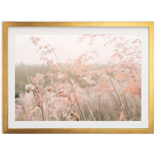 Autumn Grass - Shutter and Frame