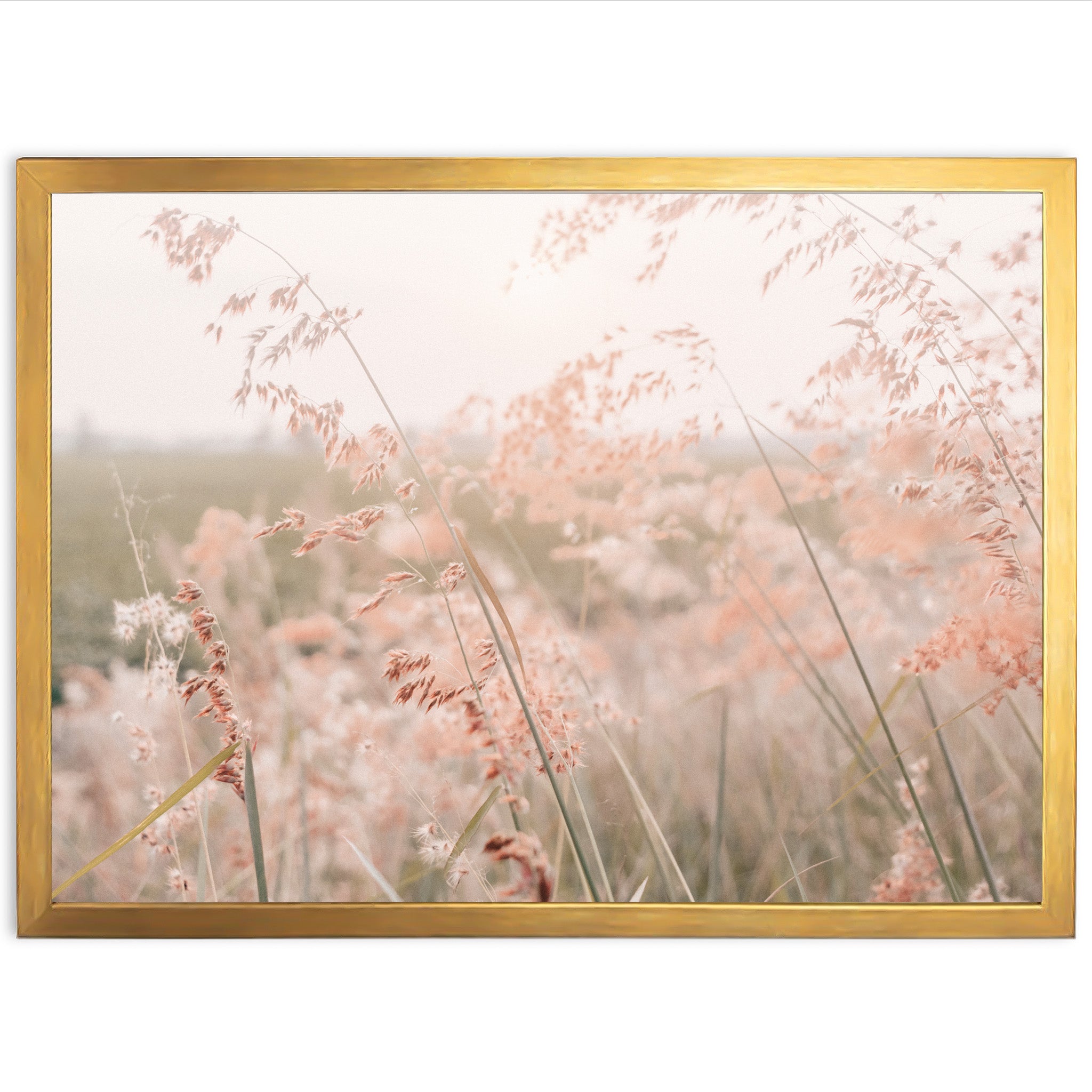 Autumn Grass - Shutter and Frame
