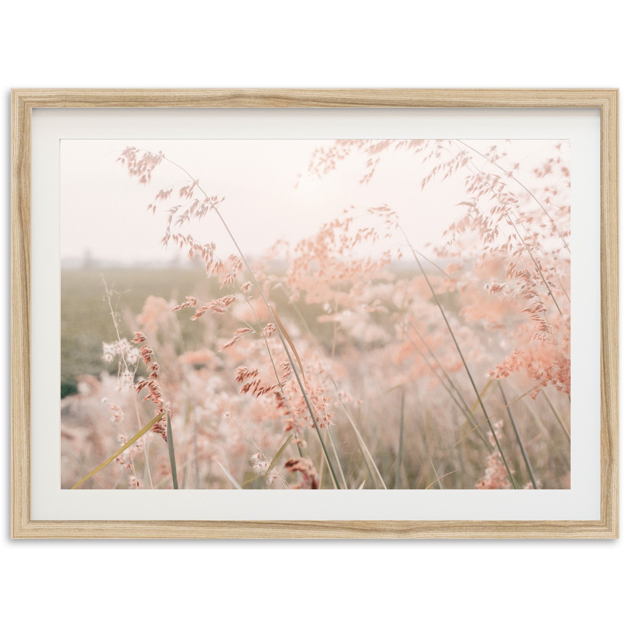 Autumn Grass - Shutter and Frame
