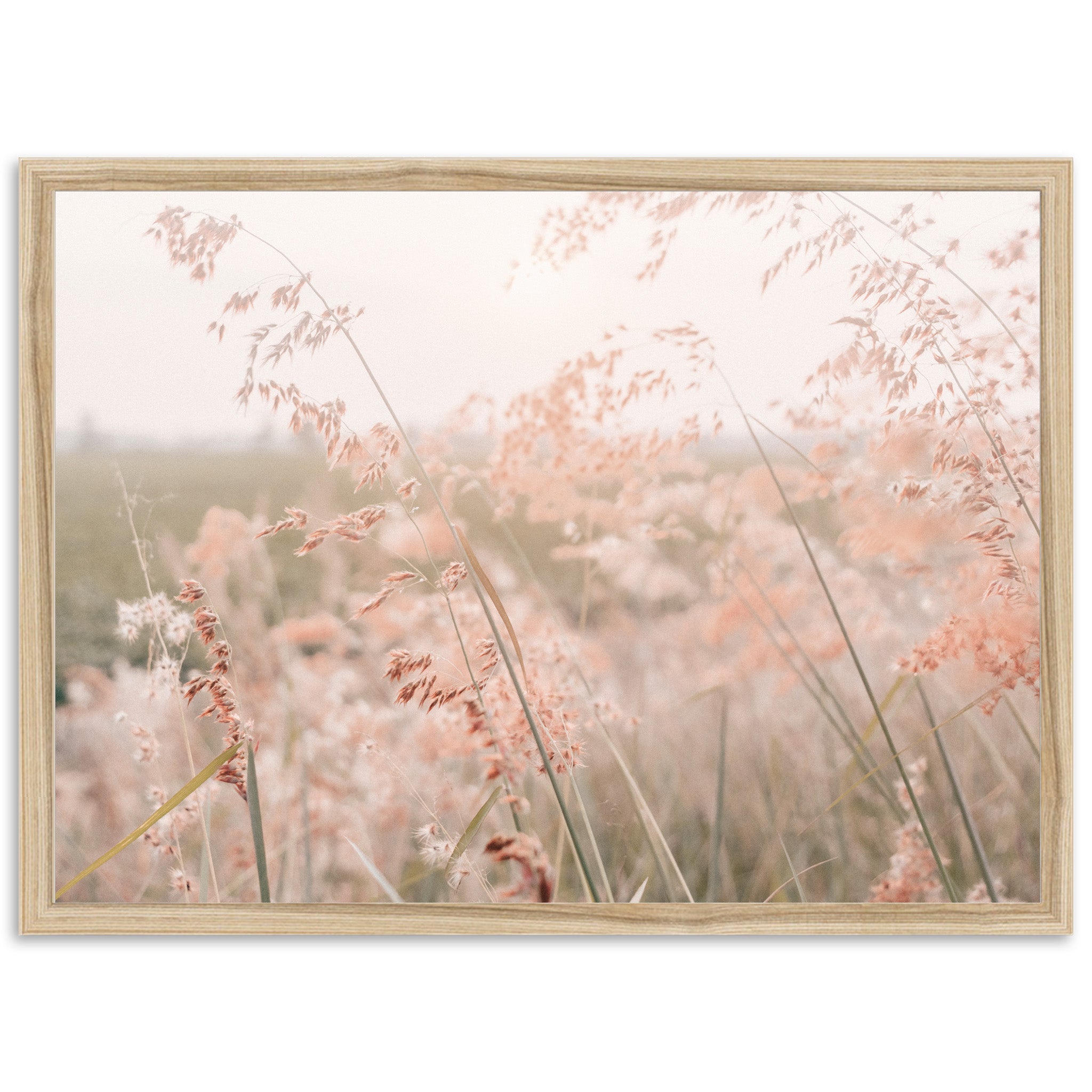 Autumn Grass - Shutter and Frame
