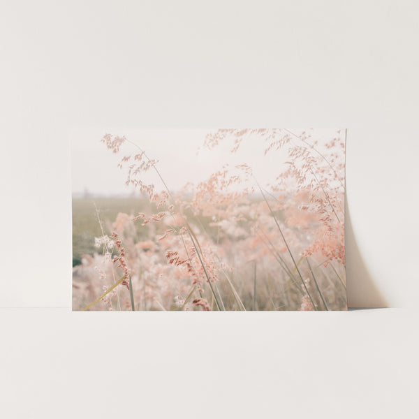 Autumn Grass - Shutter and Frame