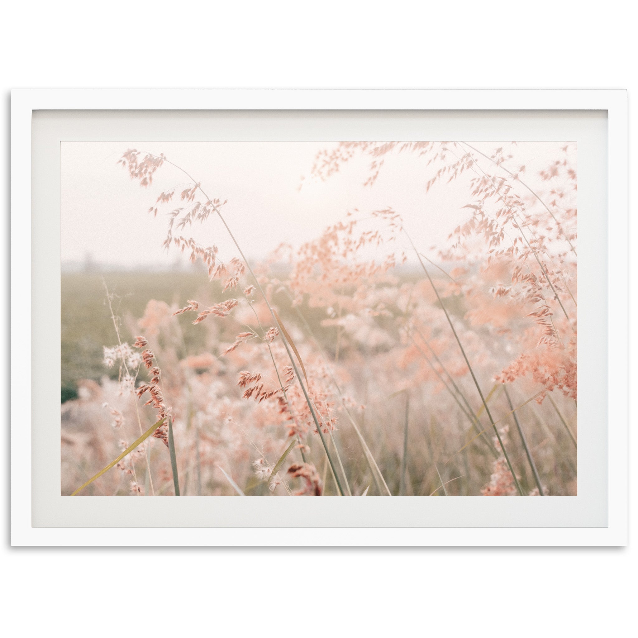 Autumn Grass - Shutter and Frame