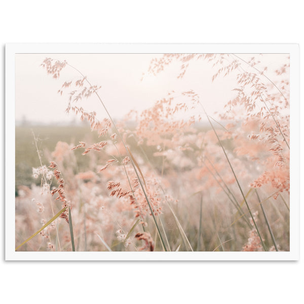 Autumn Grass - Shutter and Frame