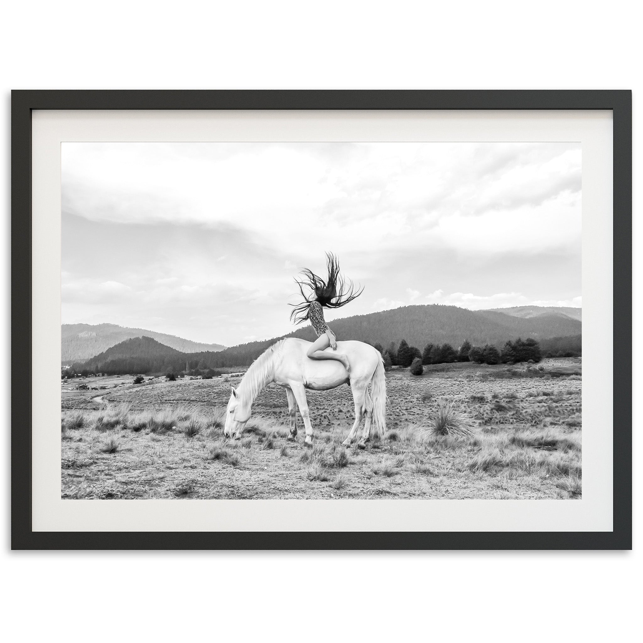 Wild and Free - Shutter and Frame