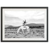 Wild and Free - Shutter and Frame