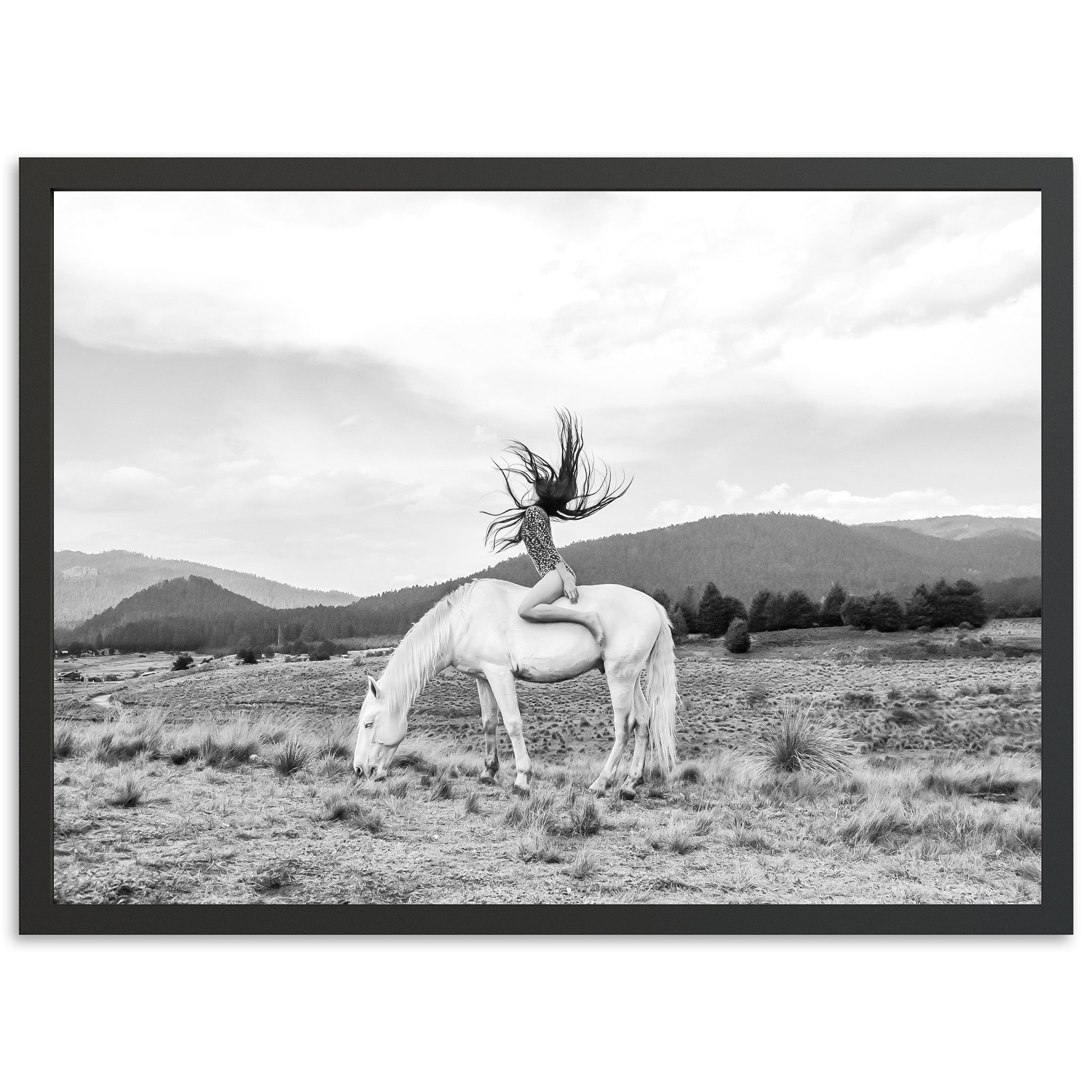 Wild and Free - Shutter and Frame