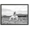 Wild and Free - Shutter and Frame