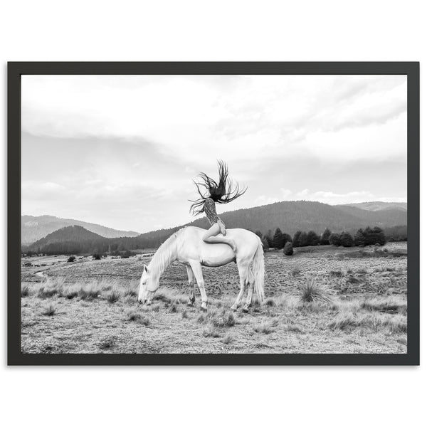 Wild and Free - Shutter and Frame