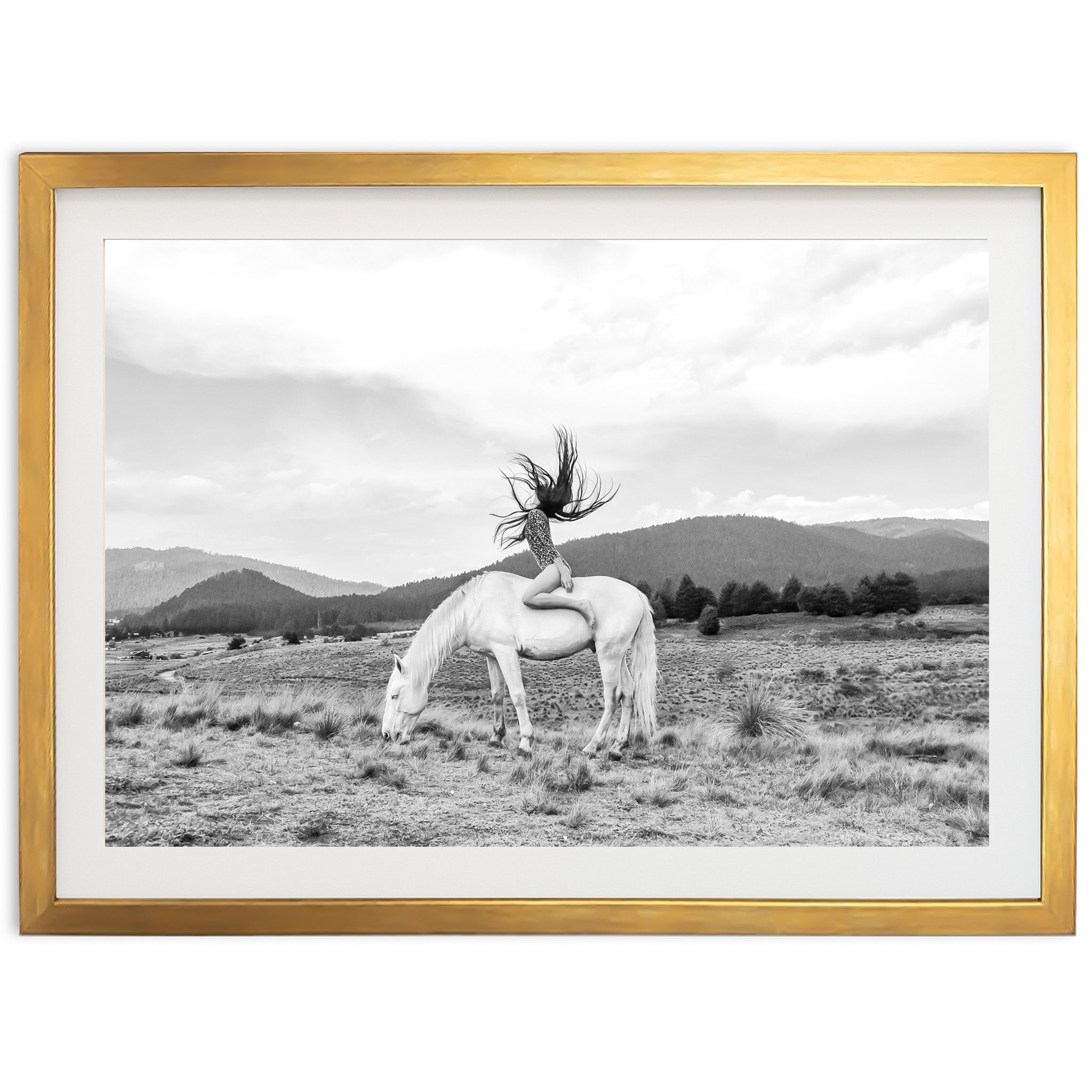 Wild and Free - Shutter and Frame
