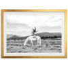 Wild and Free - Shutter and Frame