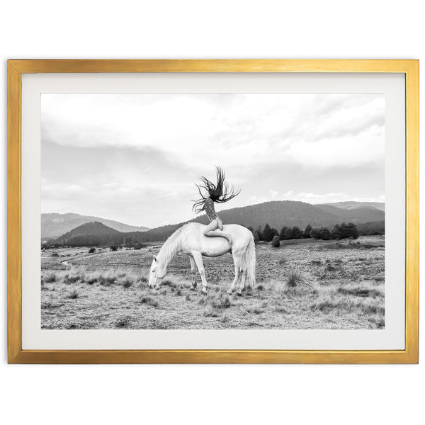 Wild and Free - Shutter and Frame