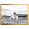 Wild and Free - Shutter and Frame