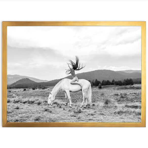 Wild and Free - Shutter and Frame