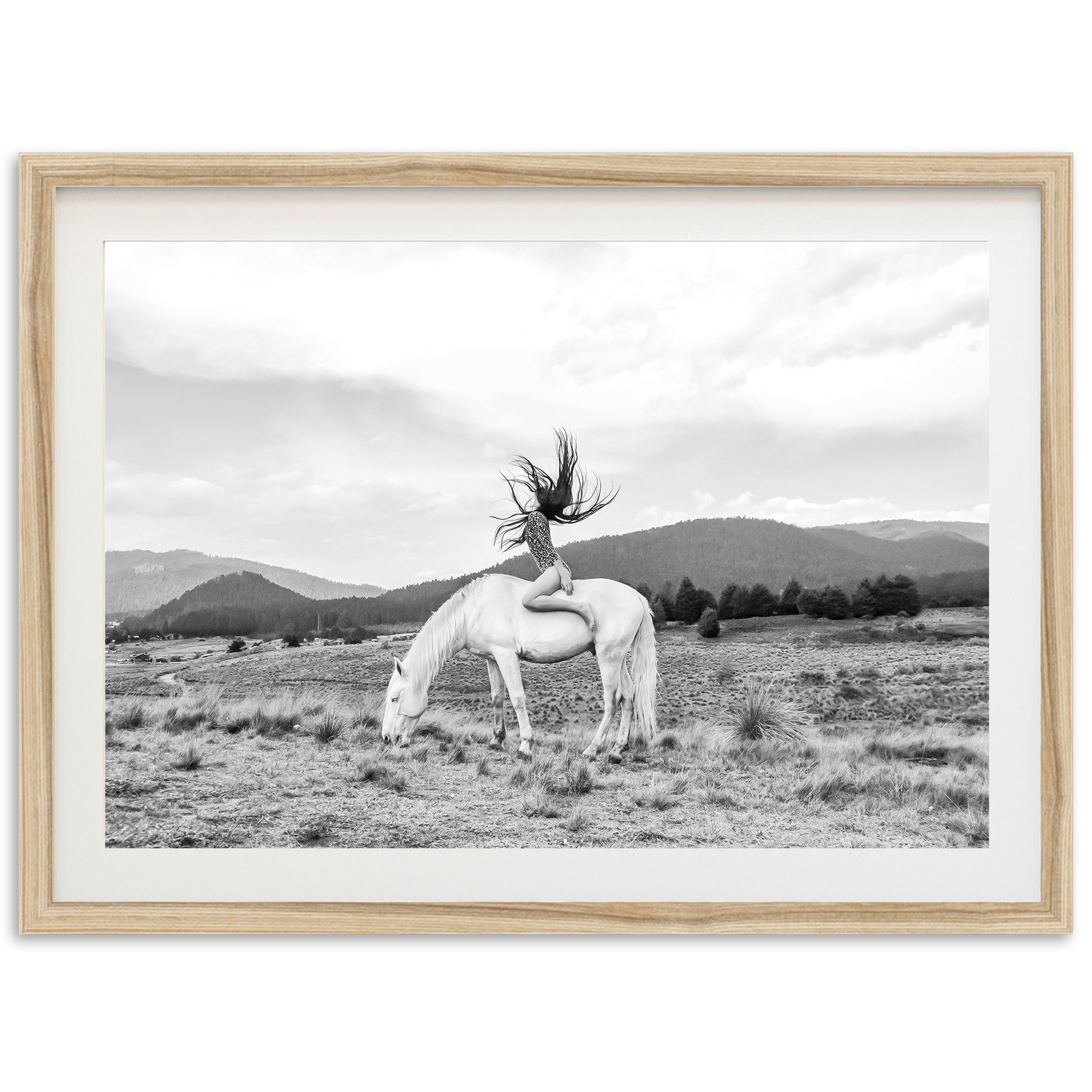 Wild and Free - Shutter and Frame