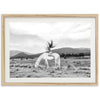 Wild and Free - Shutter and Frame