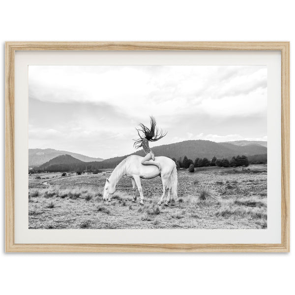 Wild and Free - Shutter and Frame