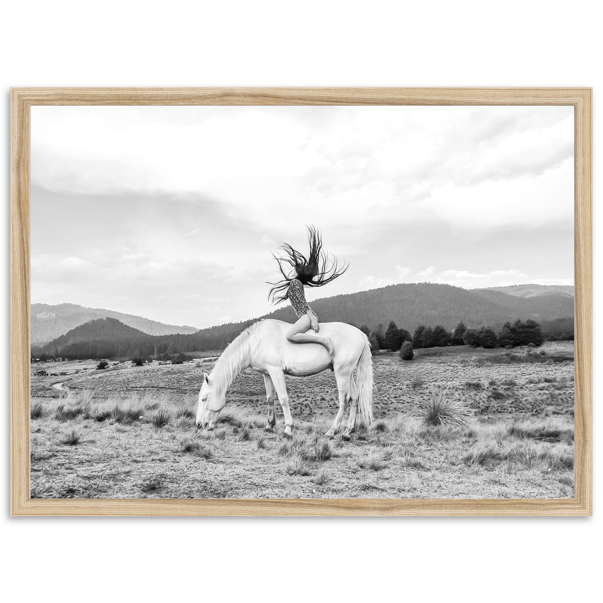 Wild and Free - Shutter and Frame