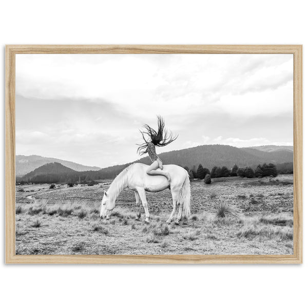 Wild and Free - Shutter and Frame