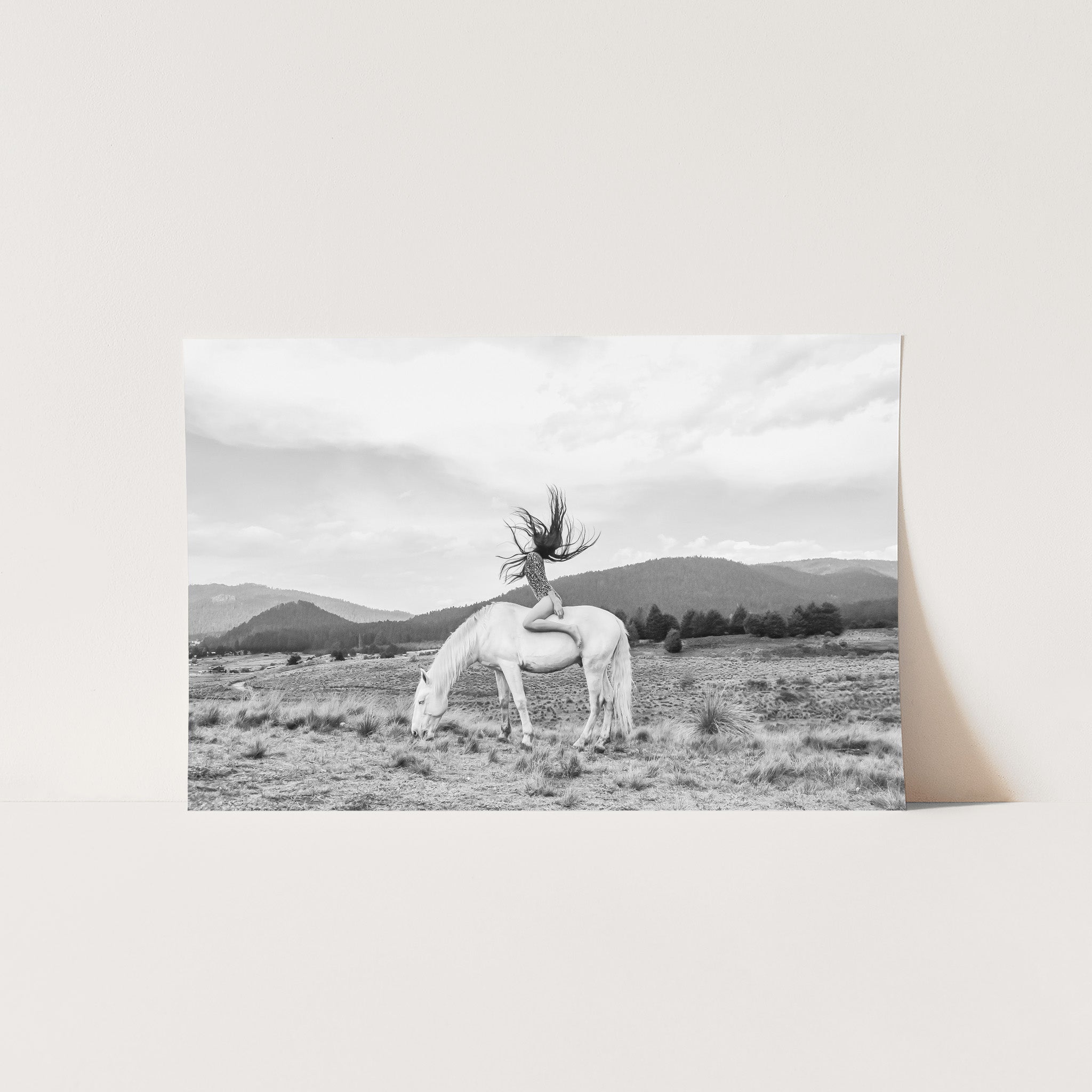 Wild and Free - Shutter and Frame