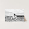 Wild and Free - Shutter and Frame