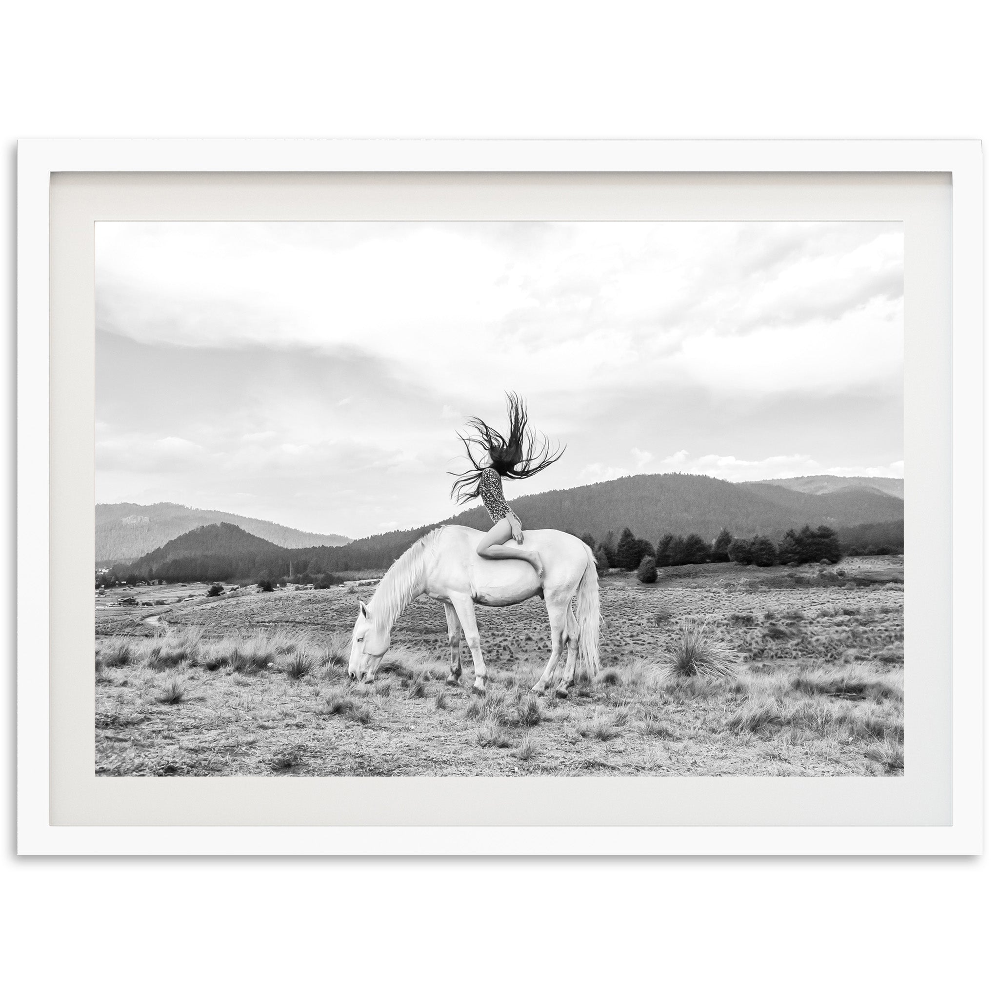 Wild and Free - Shutter and Frame