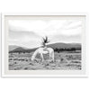 Wild and Free - Shutter and Frame