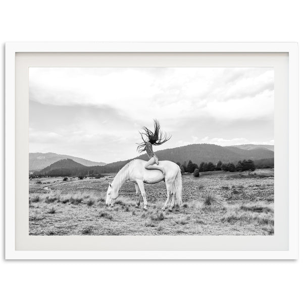 Wild and Free - Shutter and Frame