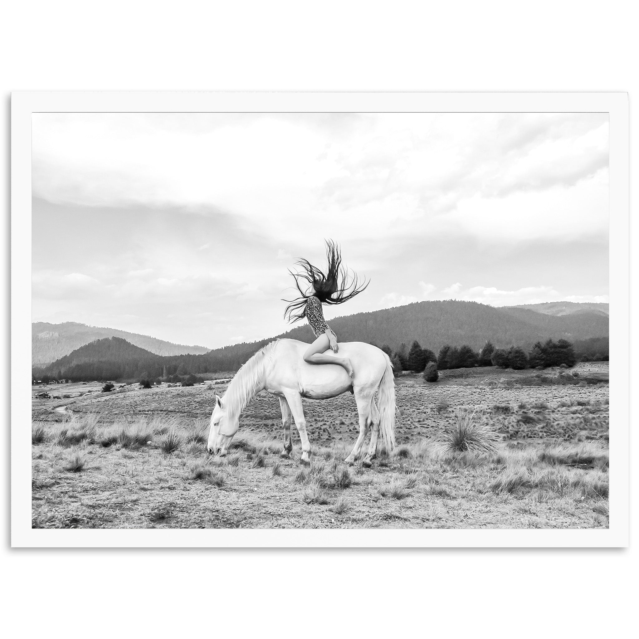 Wild and Free - Shutter and Frame