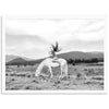 Wild and Free - Shutter and Frame