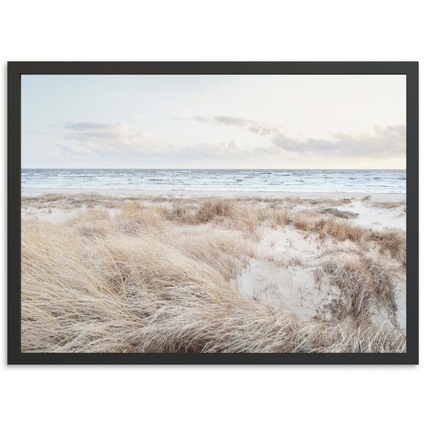 Seashore - Shutter and Frame
