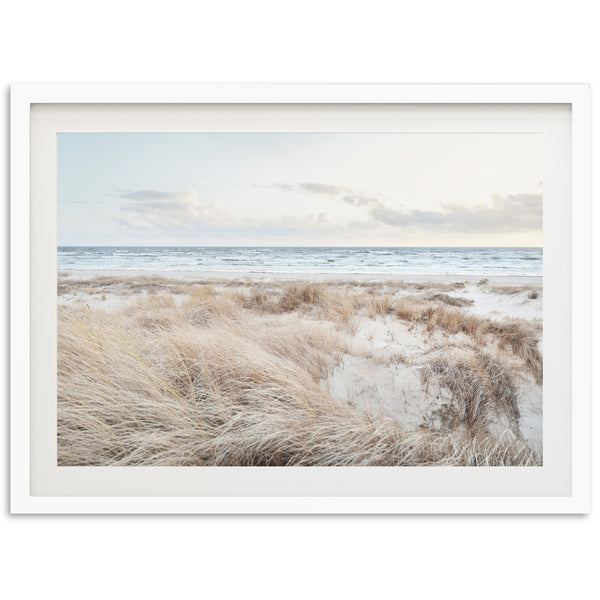 Seashore - Shutter and Frame