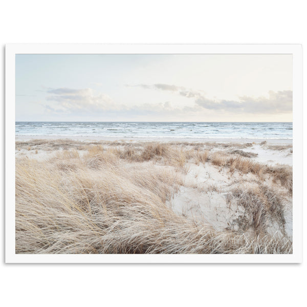 Seashore - Shutter and Frame