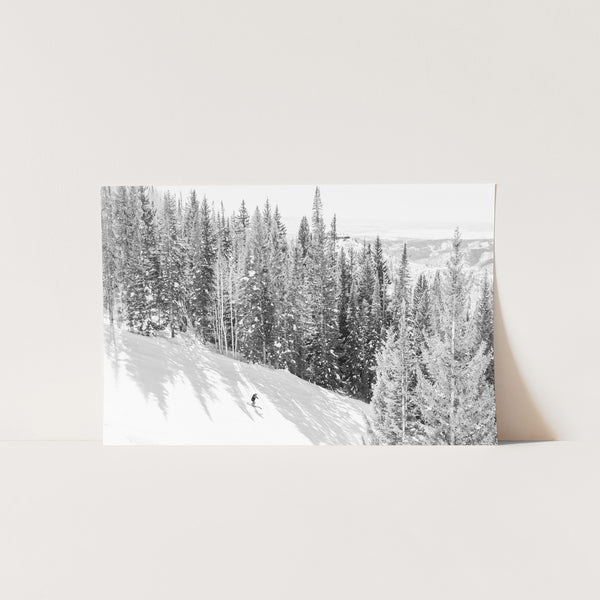 Skis and Trees