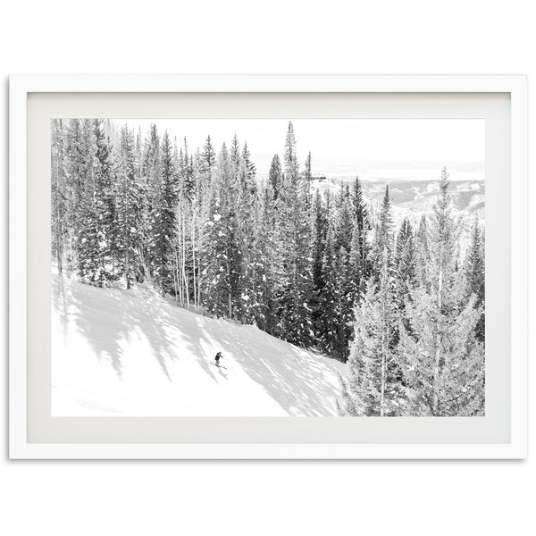 Skis and Trees