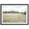 The Meadow - Shutter and Frame