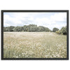 The Meadow - Shutter and Frame