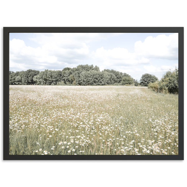 The Meadow - Shutter and Frame