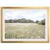 The Meadow - Shutter and Frame