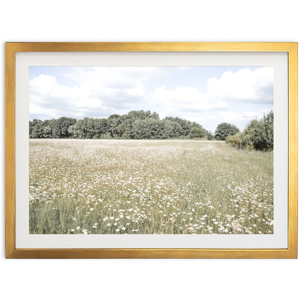 The Meadow - Shutter and Frame