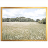 The Meadow - Shutter and Frame