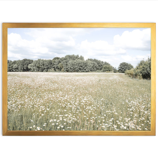The Meadow - Shutter and Frame