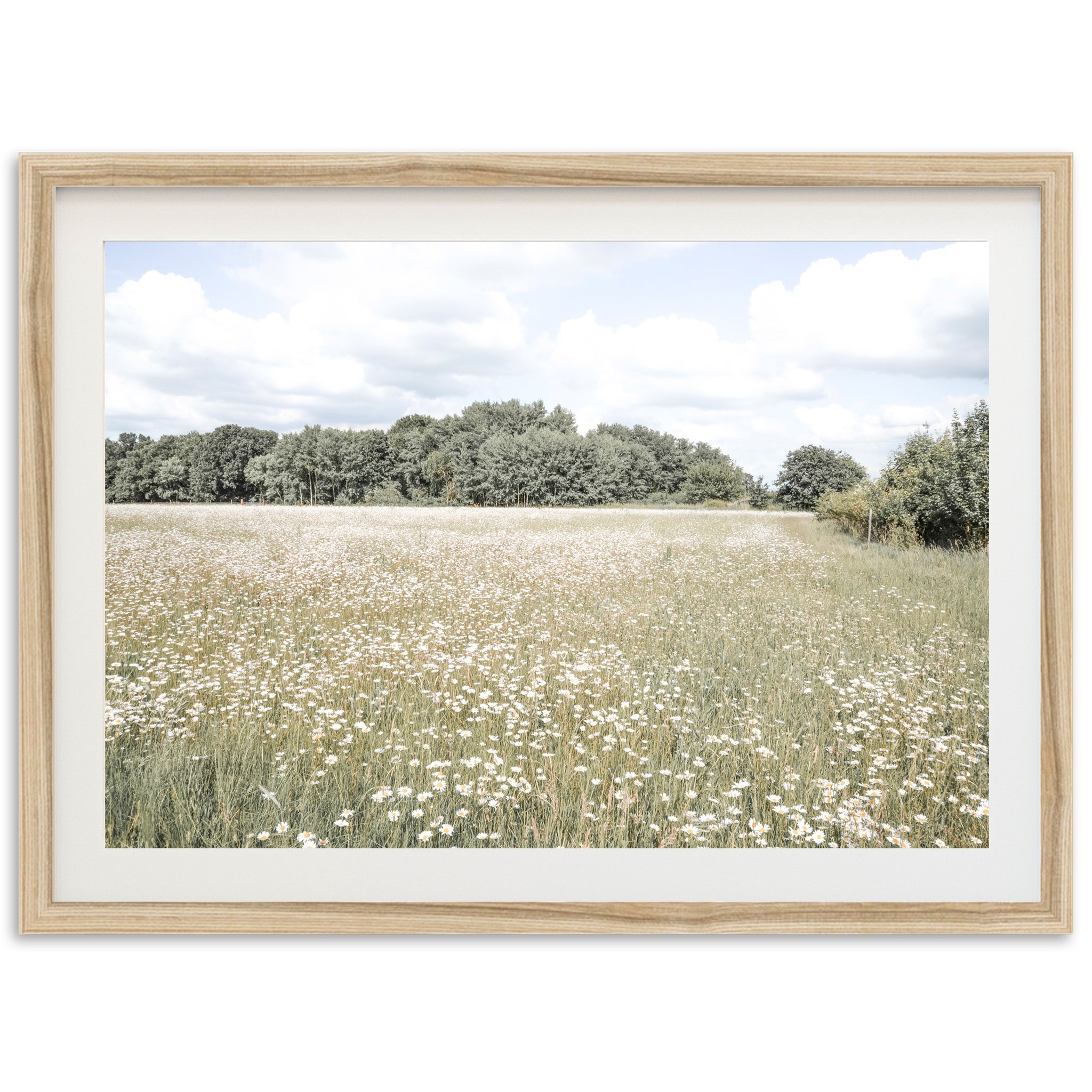 The Meadow - Shutter and Frame